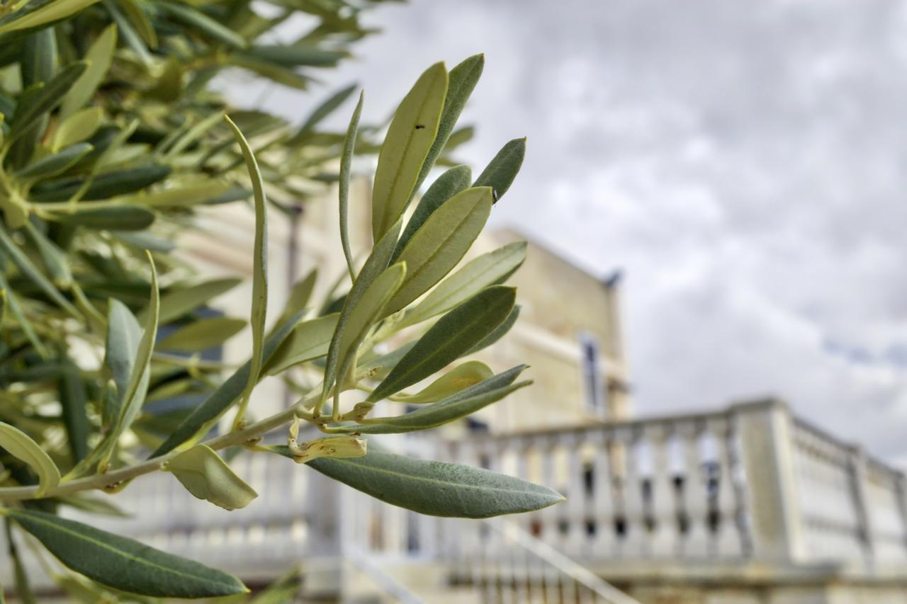Tenuta Lama Gorga Trani Extérieur photo